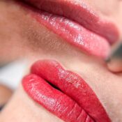 Lip Bush